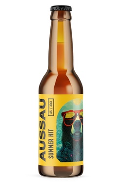 Biere France Aussau Craft Summer Hit 33cl 4% Bio